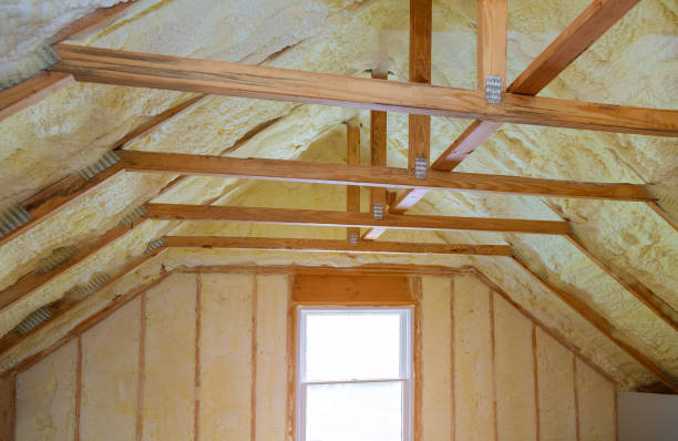 Best Cellulose Insulation  in Muniz, TX