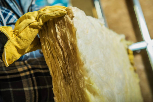 Best Insulation Removal  in Muniz, TX