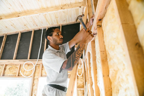 Best Residential Insulation Services  in Muniz, TX