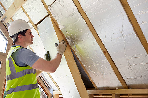 Best Soundproof Insulation Installation  in Muniz, TX
