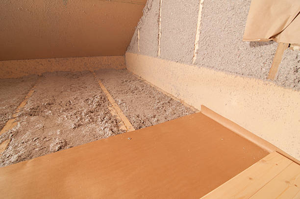 Best Insulation for New Construction  in Muniz, TX