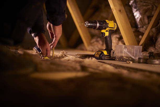 Best Fiberglass Insulation  in Muniz, TX