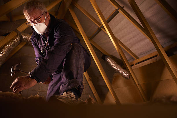 Best Insulation Repair Services  in Muniz, TX
